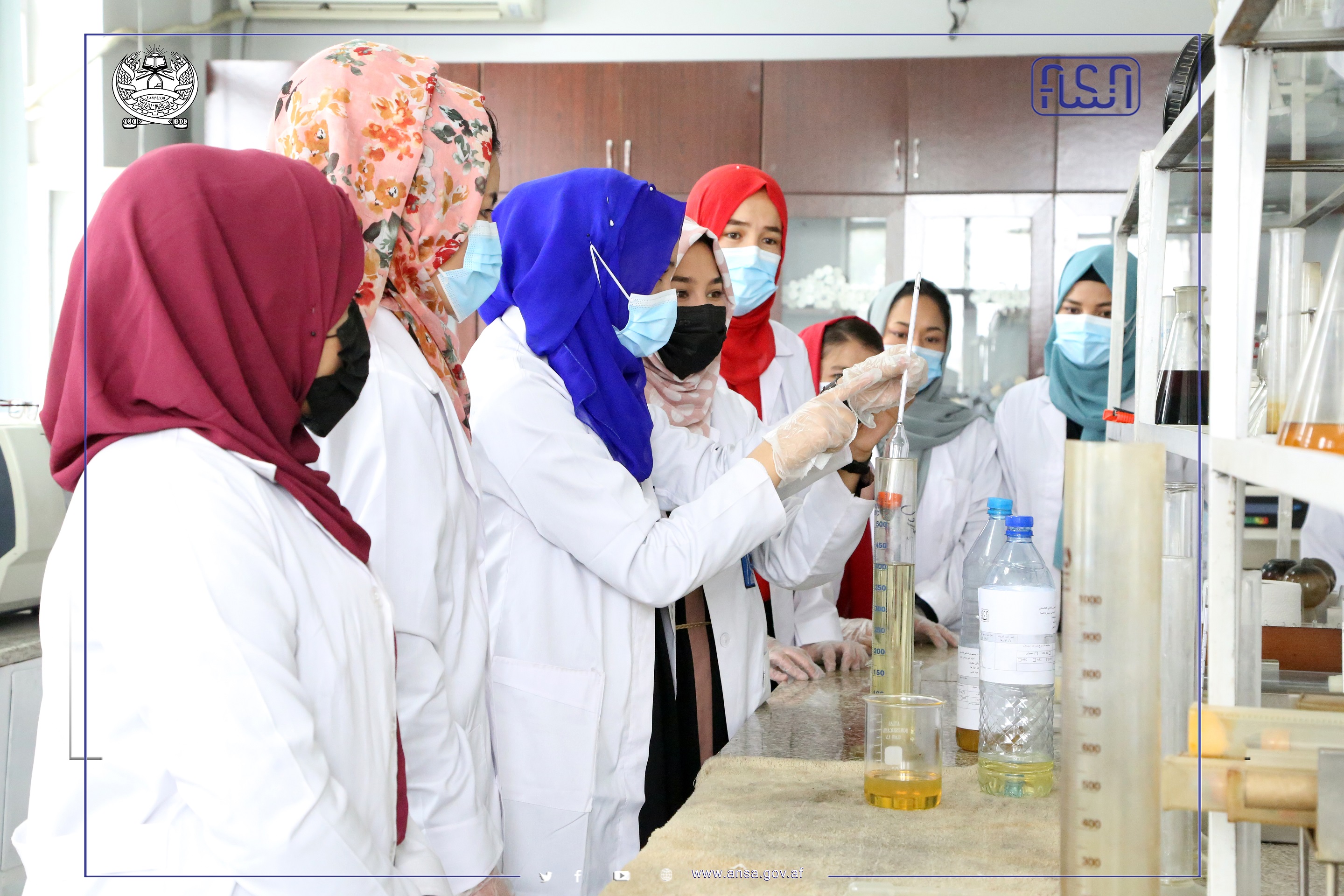 A number of female students of Kabul Polytechnic University have started their internship at the Afghanistan National Standards Authority.