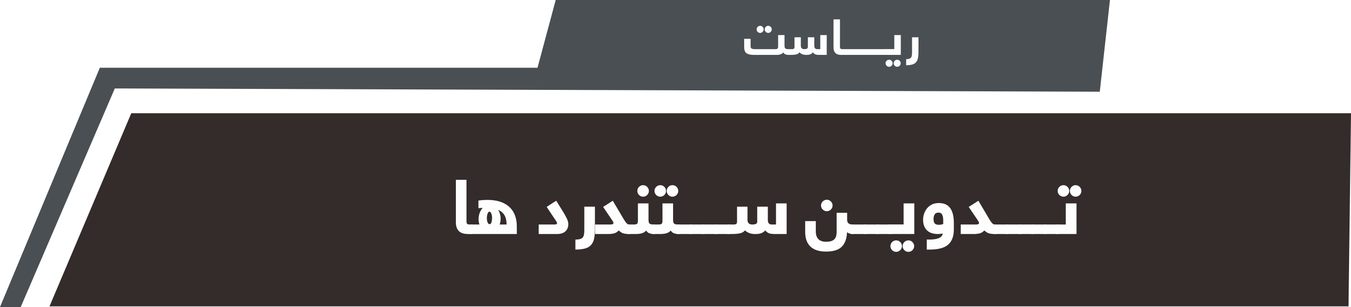 ریاست تدوین ستندردها