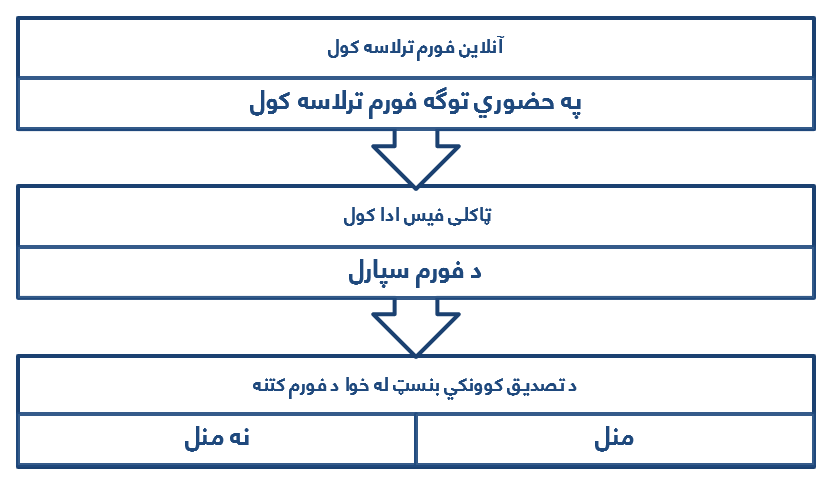 پروسیجر